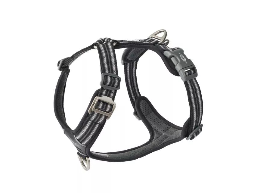 Dog Comfort Walk Air